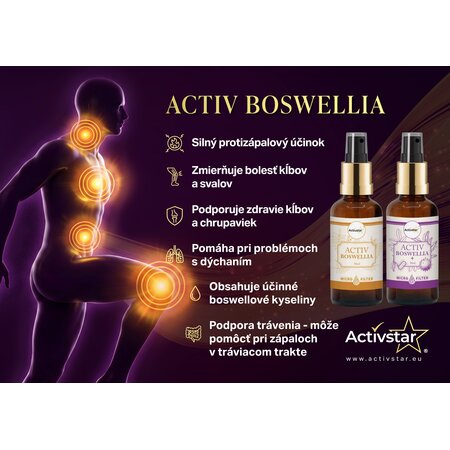 Activ Boswellia sublinguales Spray 50 ml
